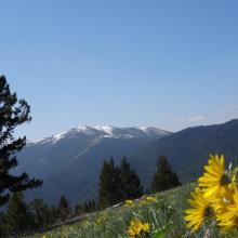 Views from the summit