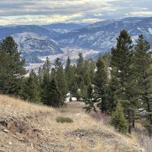 Looking down to parking area from old logging skid trail