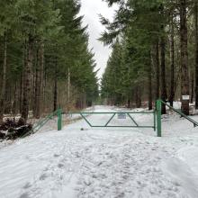 Trail Head